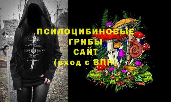 кокс Алексин